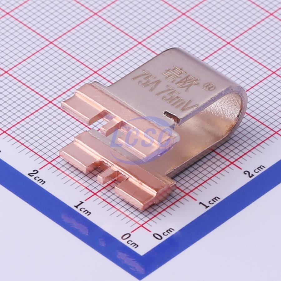 HoFLQ60-75A-75mV-0.5%-10H26 Milliohm