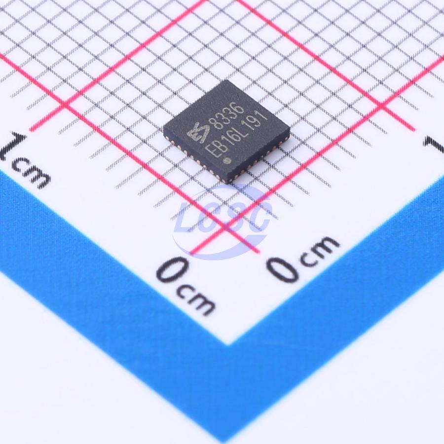 ES8336 Everest-semi(Everest Semiconductor)