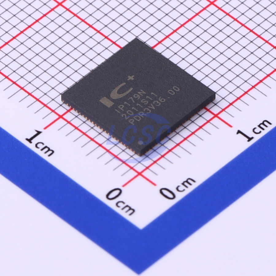 IP179N IC Plus